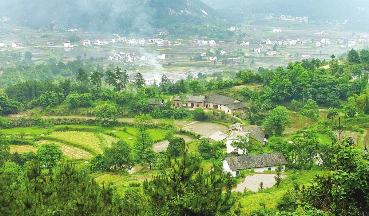 安庆这五年:第十次党代会以来安庆农业农村发展综述